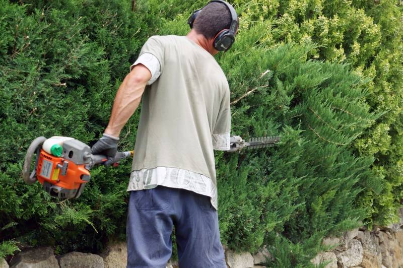 Entreprise pour entretien des espaces verts dans un camping près de Roquebrune sur Argens dans le var