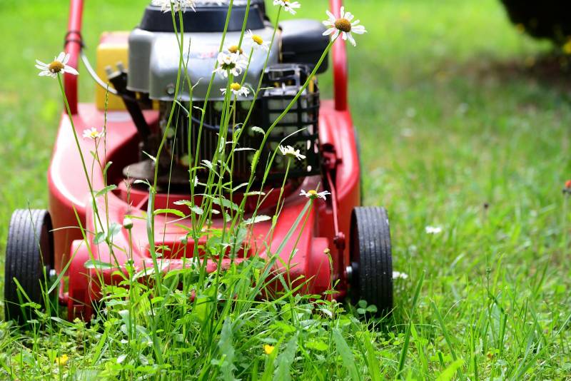 devis entretien jardin espaces verts frejus saint raphael